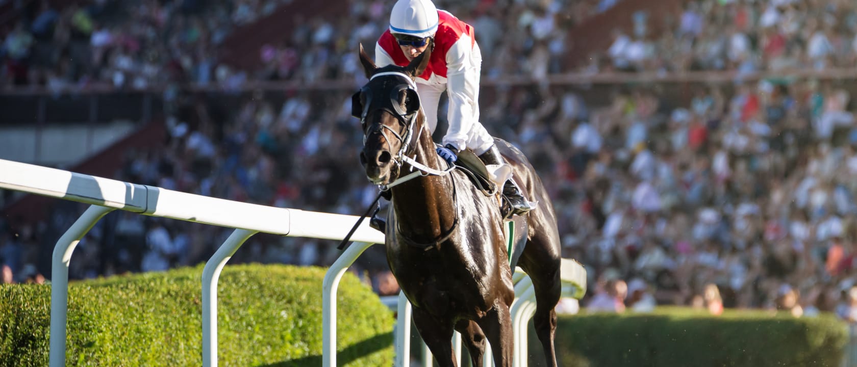 Black Eyed Susan Stakes Parking