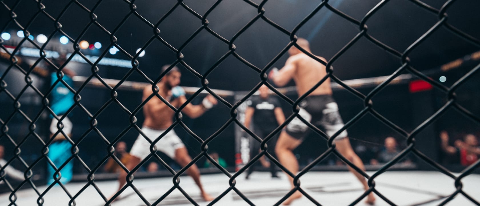 Southwest Brawl