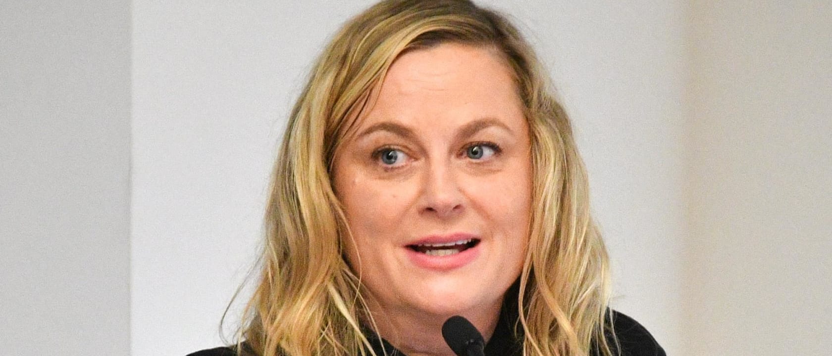 Amy Poehler