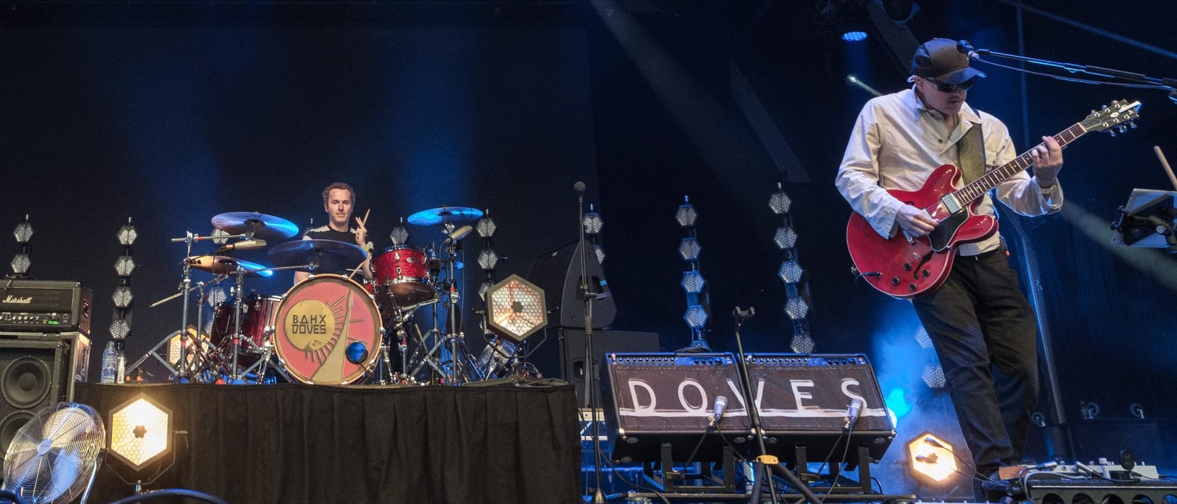 Doves