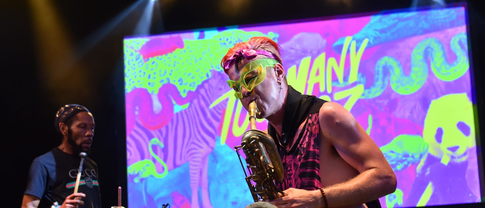 Too Many Zooz