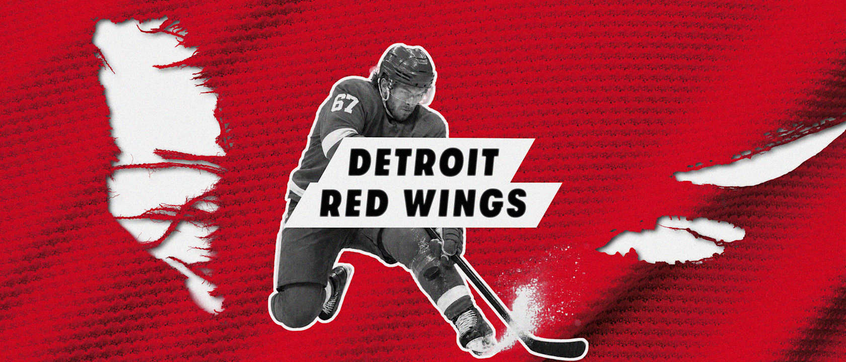 Detroit Red Wings Parking