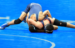 Perfomer 19722 Image