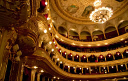 Perfomer 90335 Image