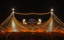 Perfomer 403078 Image