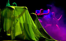 Perfomer 2435 Image