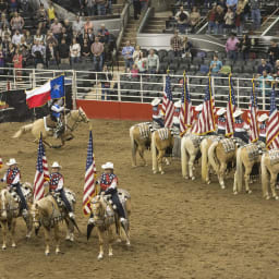 San Antonio Stock Show and Rodeo