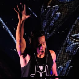 Laidback Luke