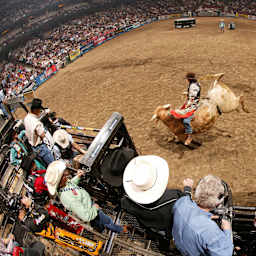 PBR - Team Series