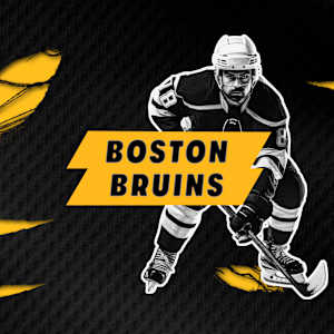 Boston Bruins Image