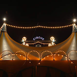 Cirque Dreams Holidaze Parking Image