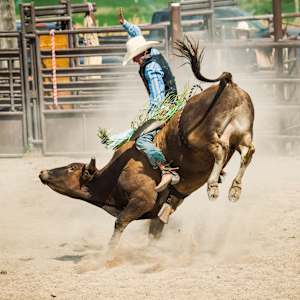 National Finals Rodeo Image