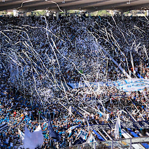 Disc Golf Pro Tour Image