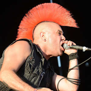 The Casualties Image