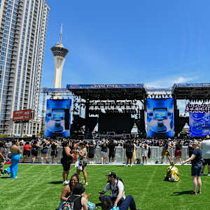 Lovers and Friends Image