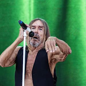 Iggy Pop Image