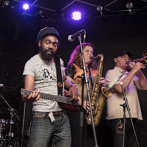 Easy Star All Stars Image