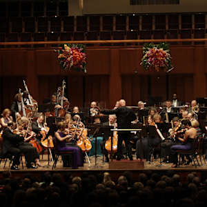National Symphony Orchestra Image