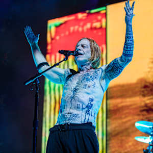 Danny Elfman Image