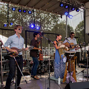 Elephant Revival Image