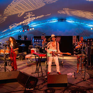 The Pimps of Joytime Image