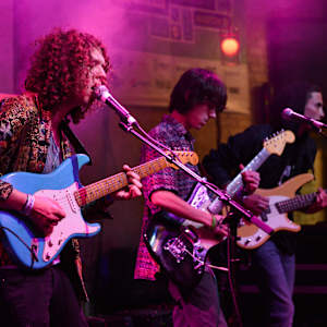 Vinyl Williams Image