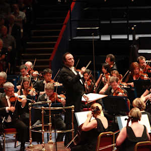 Royal Philharmonic Orchestra Image