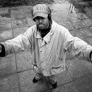 Felix da Housecat Image