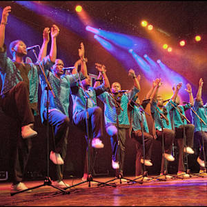 Ladysmith Black Mambazo Image