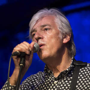 Robyn Hitchcock Image