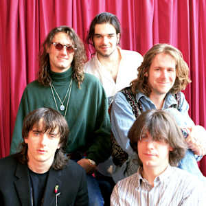 Hothouse Flowers Image