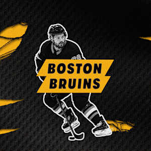 Boston Bruins Image