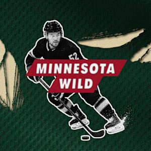 Minnesota Wild Image