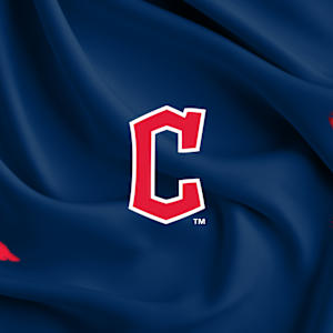 Cleveland Guardians Image