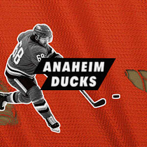 Anaheim Ducks Image