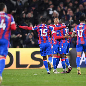 Crystal Palace FC Image