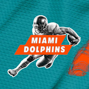 Miami Dolphins Image