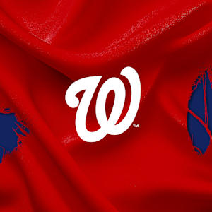 Washington Nationals Image