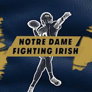 Notre Dame Fighting Irish Football Image