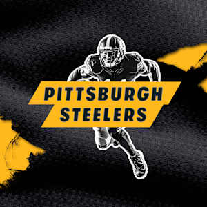 Pittsburgh Steelers Image