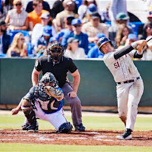 World Baseball Classic Image