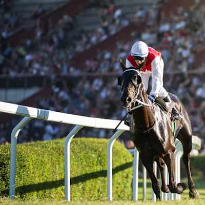 Santa Anita Horse Racing