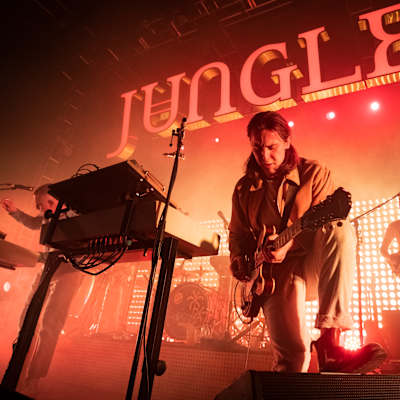 Jungle