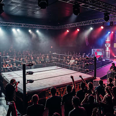 The Super Wrestlers