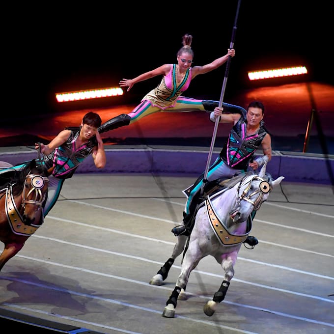 Ringling Bros B&B Circus Parking