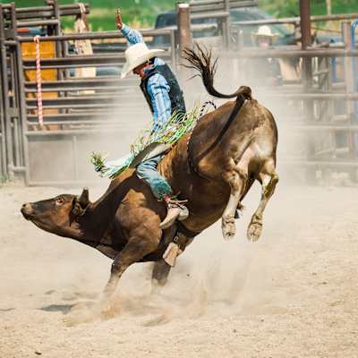 Utica Stampede