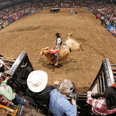 PBR - Unleash the Beast