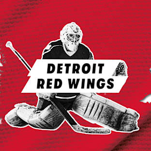 Detroit Red Wings Parking Image