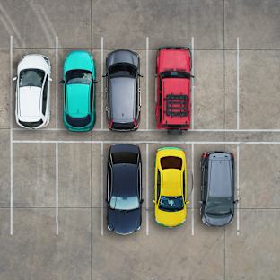 Live Between the Hedges Parking Image