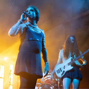 Rainbow Kitten Surprise Image